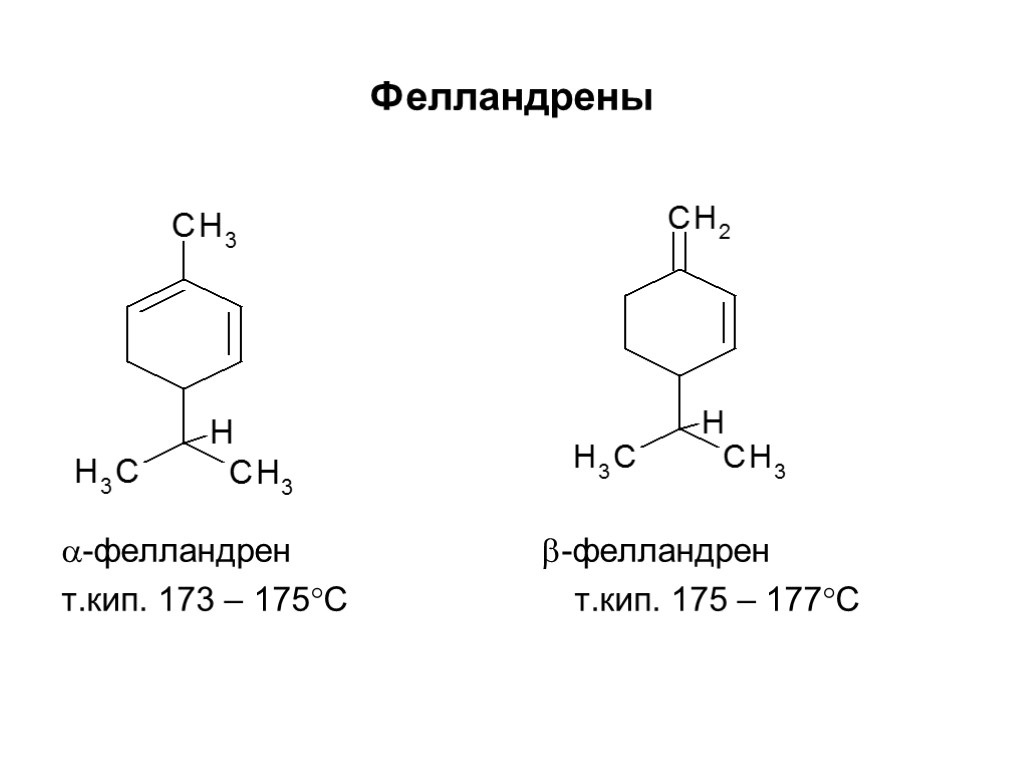 Фелландрены -фелландрен -фелландрен т.кип. 173 – 175С т.кип. 175 – 177С